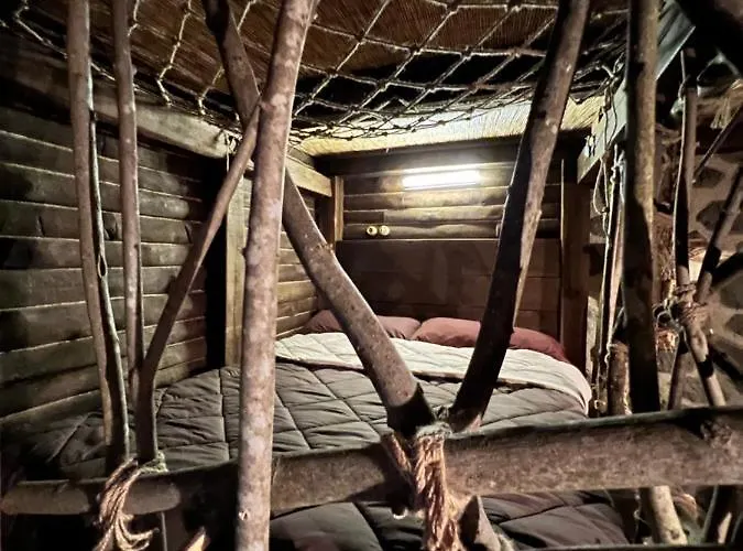 ホテル Insomnia ベルガ